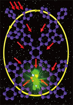 ポリフェニレン骨格をもつ多孔性共役高分子を紫色で示し、励起エネルギーを受け取るクマリン分子を緑色で表しています。クマリン分子は多孔性高分子のポア（孔）に入っています。図では光励起エネルギーがこのクマリン分子に集まってくる様子を描いています。なお、この研究成果はJACS掲載号の「表紙」に使用されます。