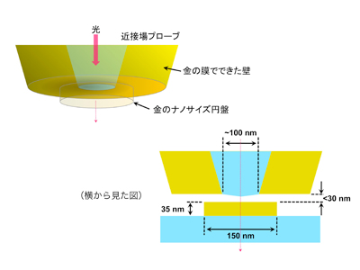 図２ レーザー光をレンズで絞ると、見えない「穴」が掘られ、そこに球が落ち込む。通常の連続点灯光では真ん中が深い穴になり、焦点の中心に球が落ち着く。