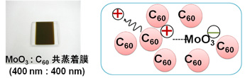 図2　モリブデン酸化物(MoO3)がドープされたフラーレン(C60)
