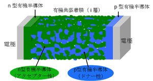 注1)PIN接合：n型（アクセプター性） とp型（ドナー性）の有機半導体分子を共蒸着によって混合して、複雑な形状を持つドナー－アクセプター界面を設けた構造。