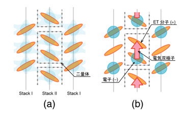 図2 BEDT-TTF分子と電子分布の模式図。波線は二量体構造をしめす。(a)金属状態，（b）強誘電状態