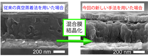 図３　H2Pc：C60混合膜を用いた有機薄膜太陽電池の断面の走査電子顕微鏡像