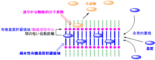 図1．触媒システムの概念図