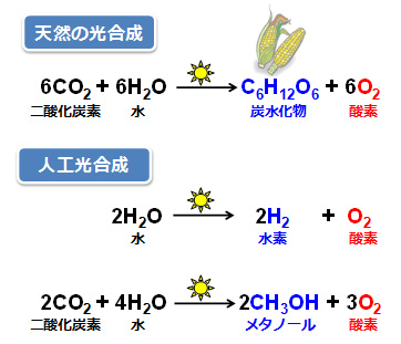 図１．天然の光合成と代表的な人工光合成