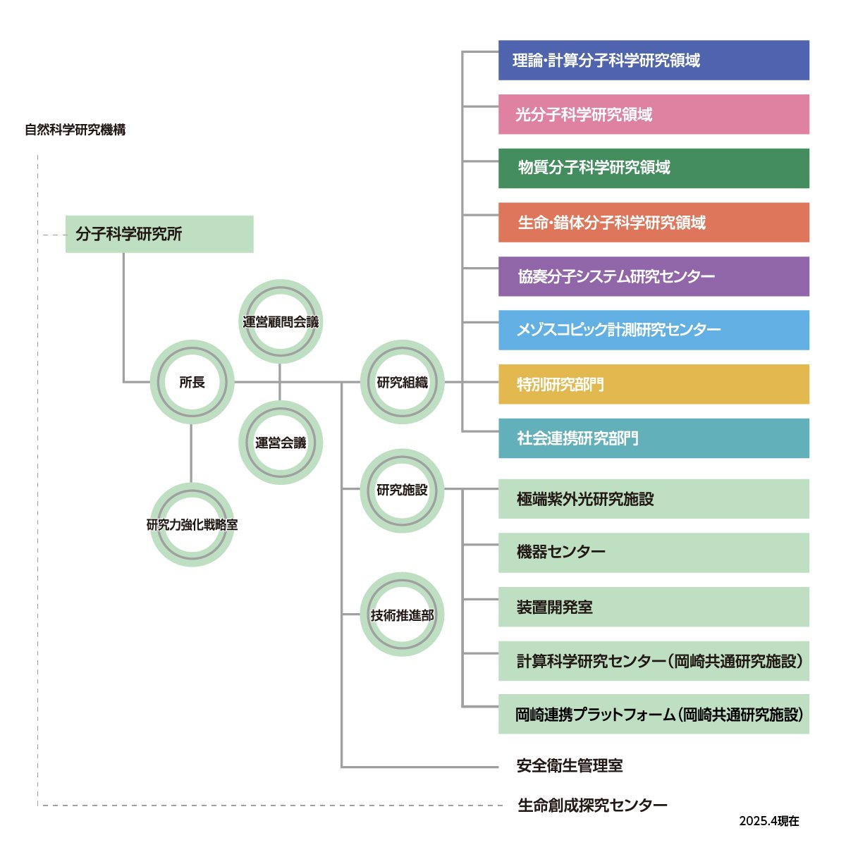 分子研組織図