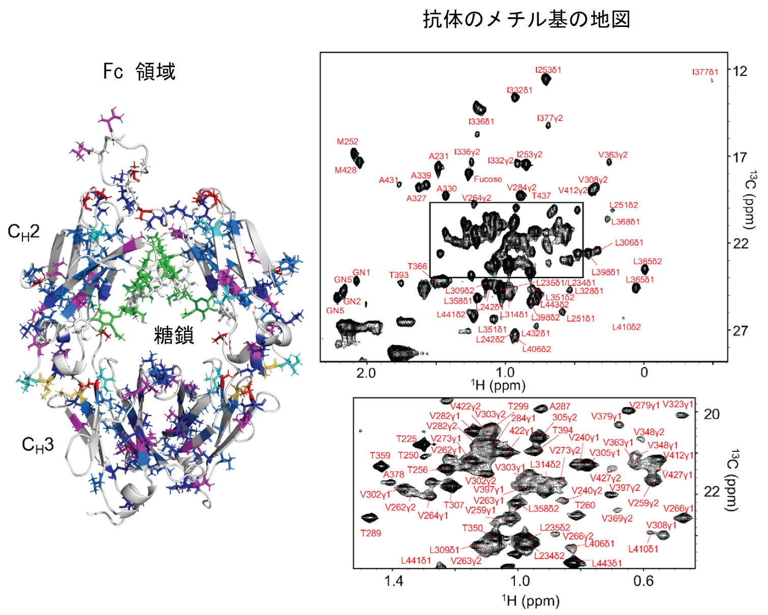 加藤晃一教授共同プレス20260212