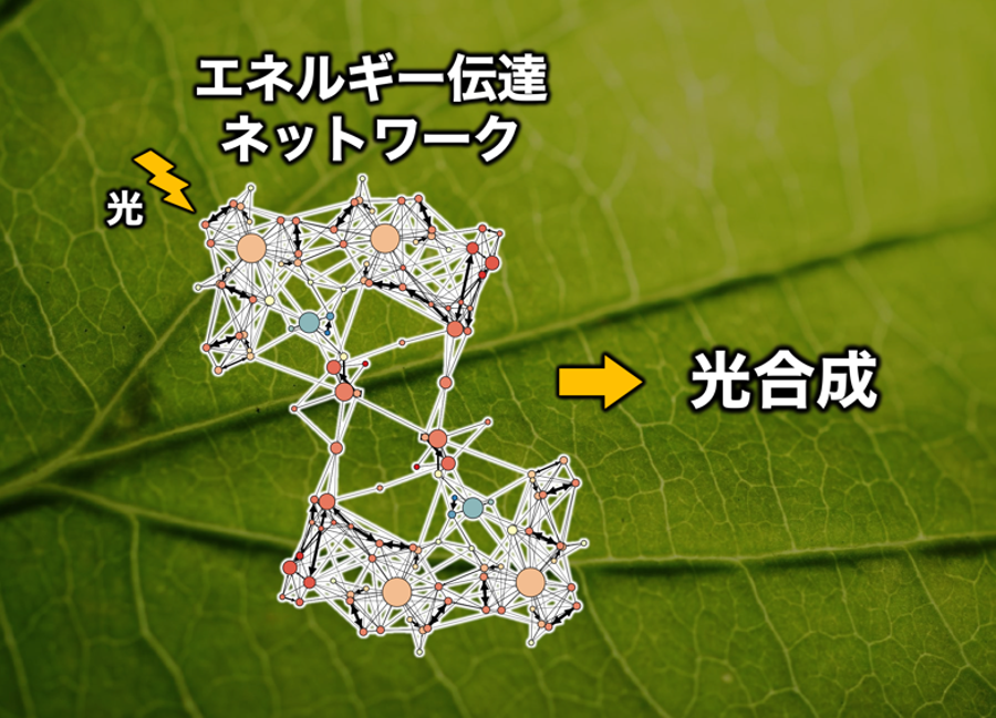 石崎章仁教授主体プレス20250620