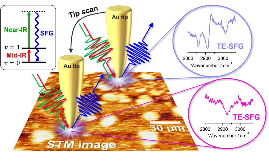 杉本敏樹准教授主体プレス20260119