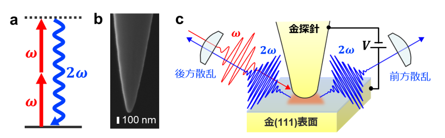 杉本敏樹准教授主体プレス20260202
