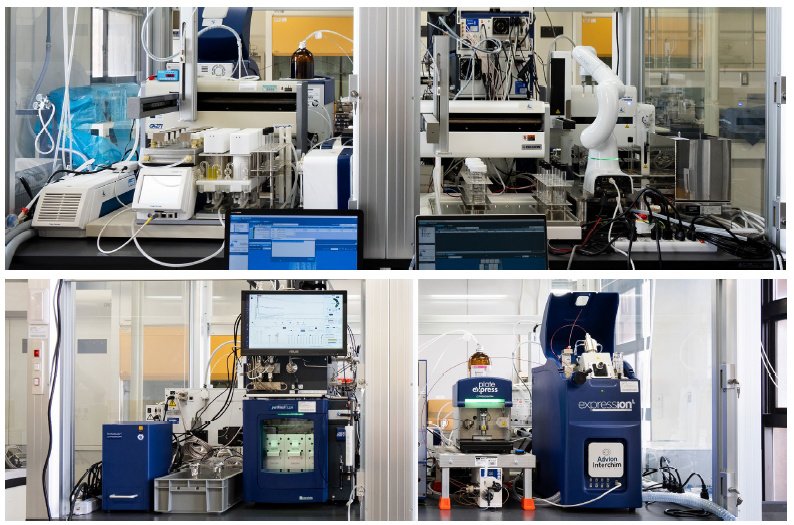 椴山儀恵准教授主体プレス20260226