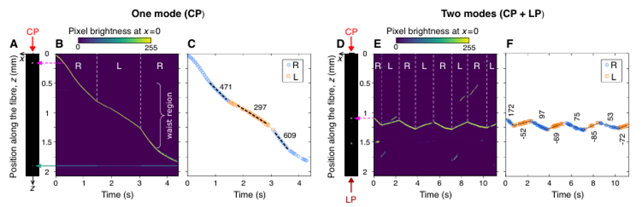岡本裕巳名誉教授共同プレス20260424