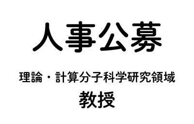 公募　理論・計算分子科学研究領域　教授