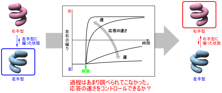 江原正博教授共同プレス_20231106