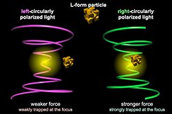 Differentiate right- and left-handed particles by the force exerted by light