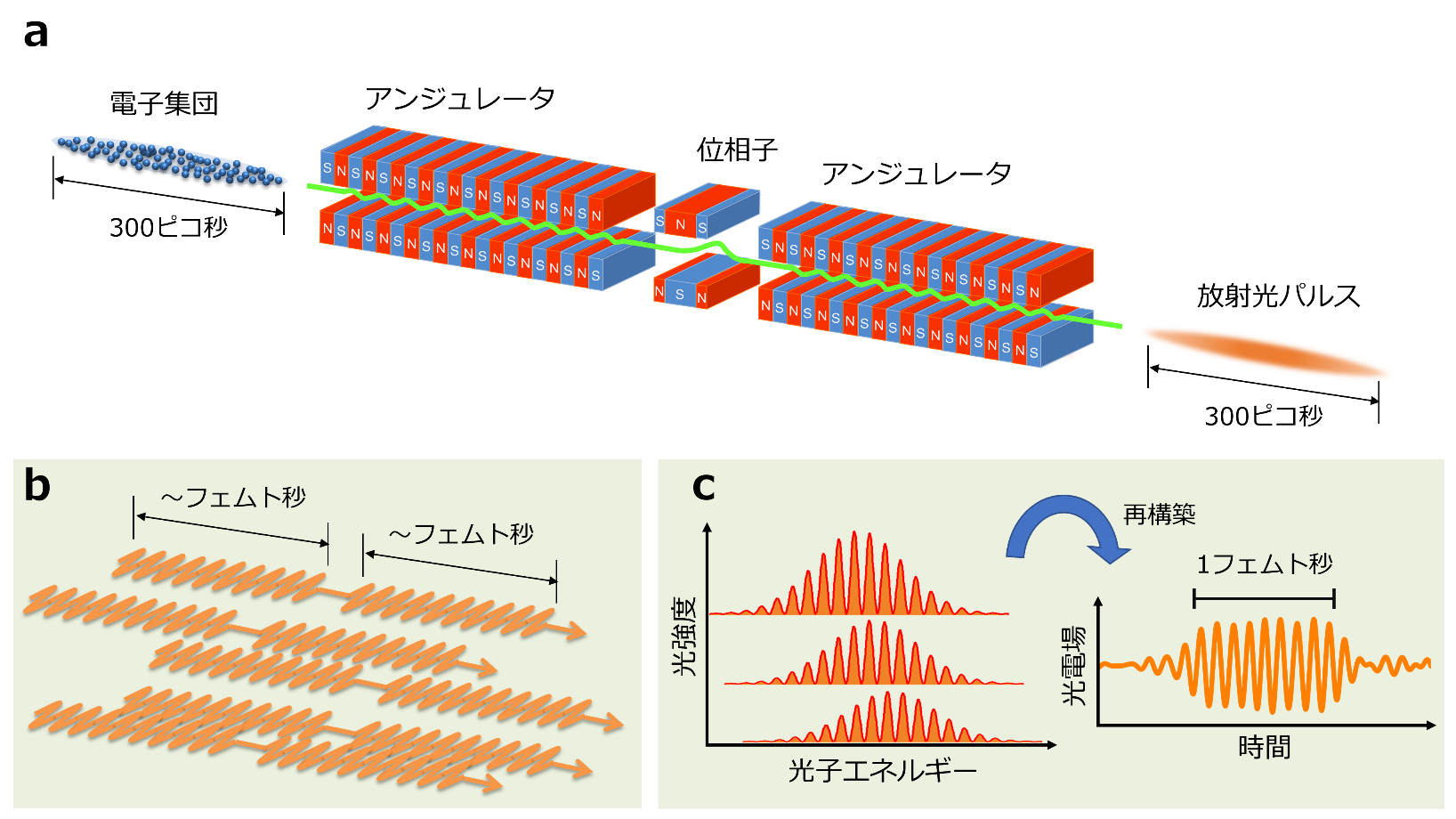 放射光の光電場を計測する新しい方法を発見