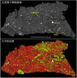 小惑星リュウグウの活発な地質活動の歴史が明らかに（大東 琢治 准教授ら）