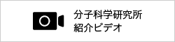 分子研ビデオギャラリー