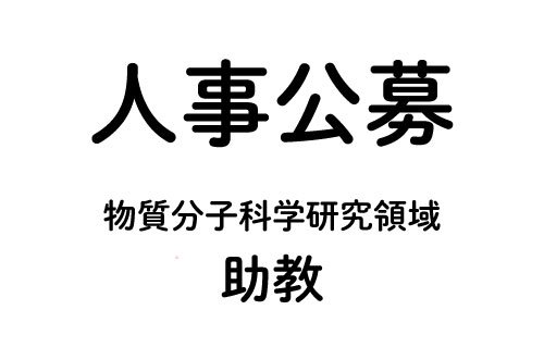 公募　物質分子科学研究領域　助教