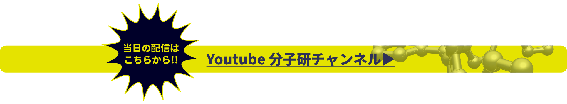 当日の配信はこちら！！Youtube分子研チャンネル