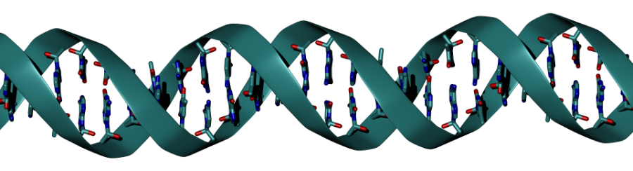 DNA_backbone_base