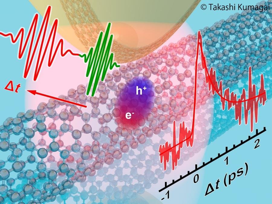カーボンナノチューブと光の局所的な相互作用を可視化～精密ナノ赤外顕微分光で見る励起子の超高速ダイナミクス～