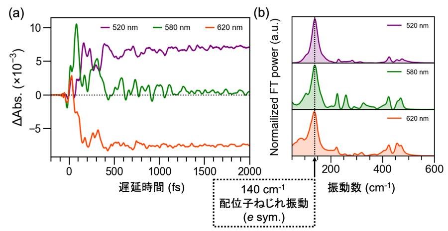 20250704_kuramochi_fig1.jpg