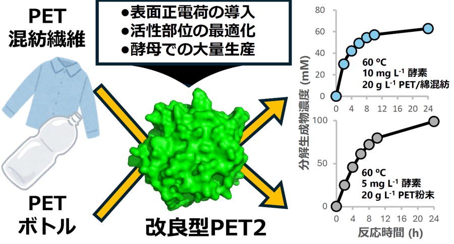 20250707-iino-fig1.png