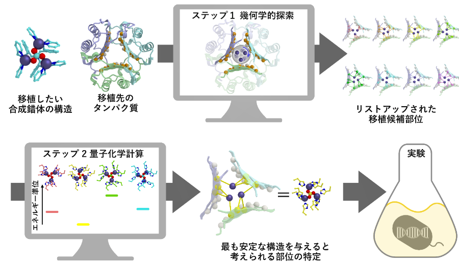20250731-okamoto-fig1.png