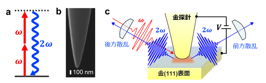 原子スケール空間の巨大電場で操る非線形な光発生現象～超小型光エレクトロニクス技術への基礎的ブレイクスルー～