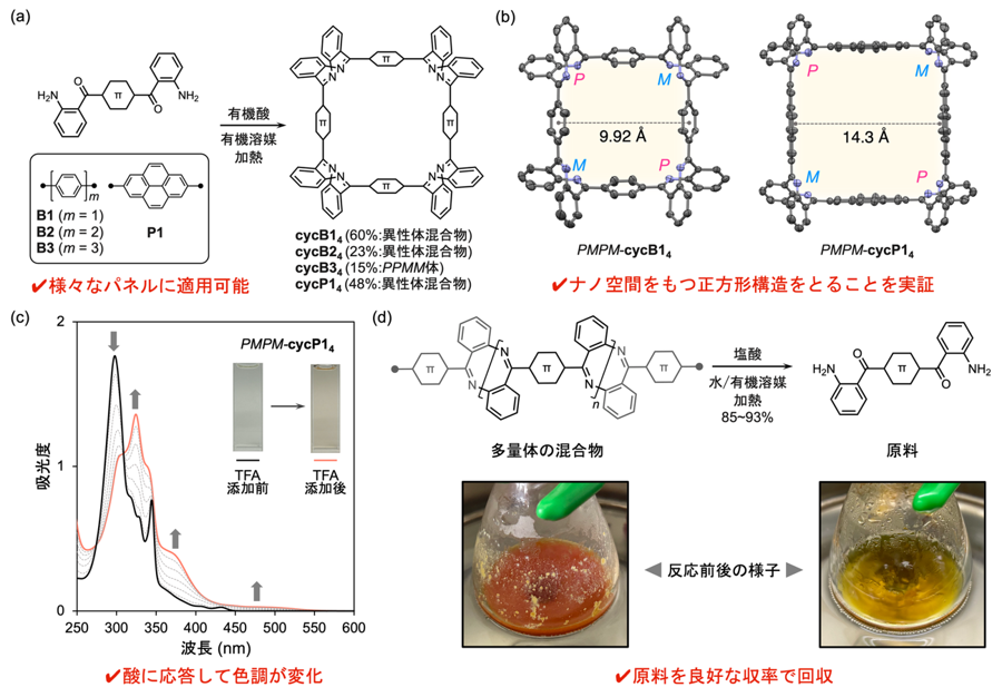 20260603-segawa-fig2.png