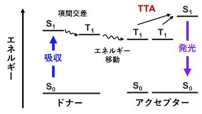 20260623-ehara-fig3.png