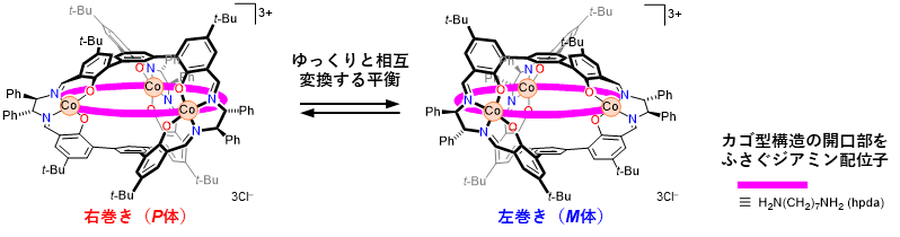 20260707-ehara-fig2.png