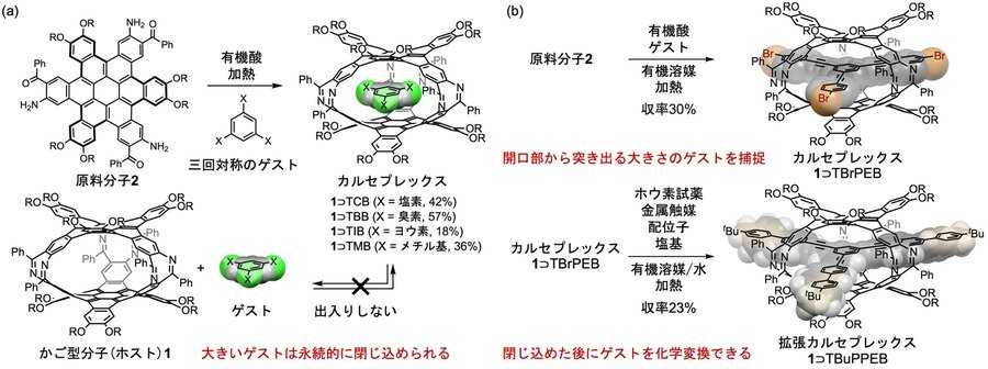 20261015-segawa-fig3.jpg