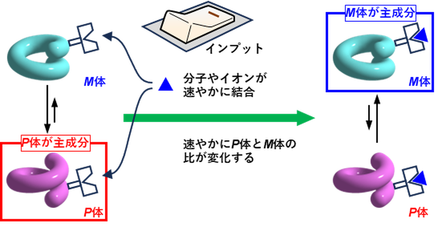 209260707-ehara-fig1.png