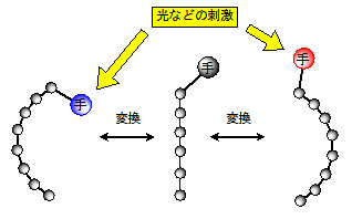 1305_4.jpg