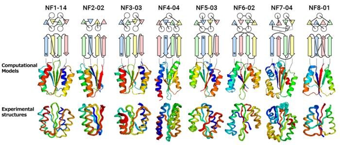 CREDIT:Shintaro Minami, Naohiro Kobayashi, Toshihiko Sugiki, Toshio Nagashima, Toshimichi Fujiwara, Rie Tatsumi-Koga, George Chikenji & Nobuyasu Koga, "Exploration of novel αβ-protein folds through de novo design", Nature Structural & Molecular Biology (2023)  USAGE RESTRICTIONS:Credit must be given to the creator.  LICENSE:CC BY