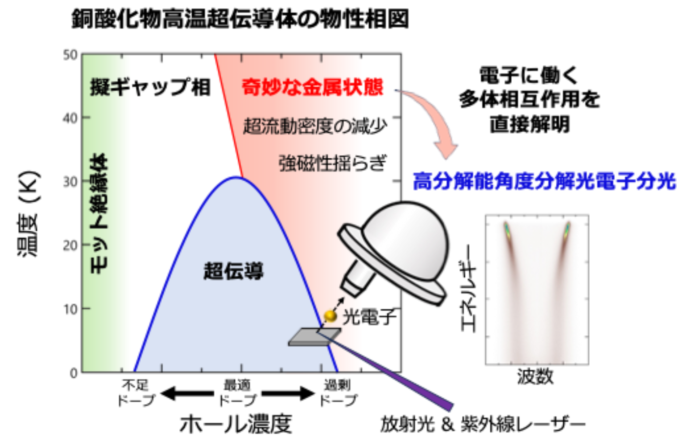 20250207_tanaka_fig1.png