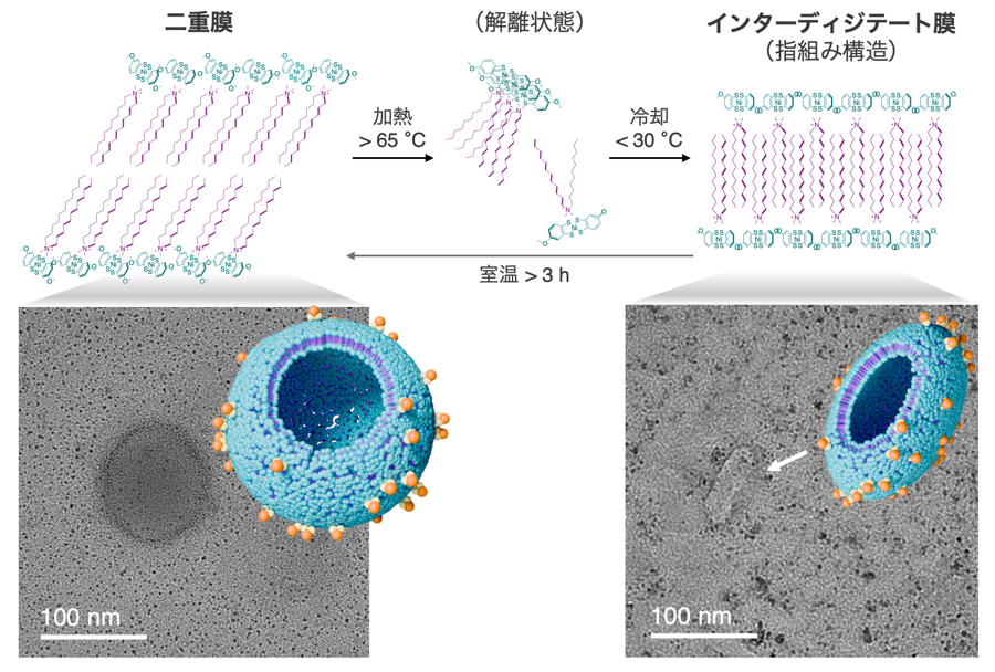 20250216-nakamura-fig2.png