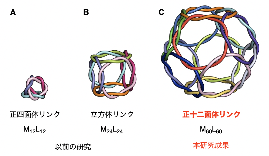 20250502-fujita-fig1.png