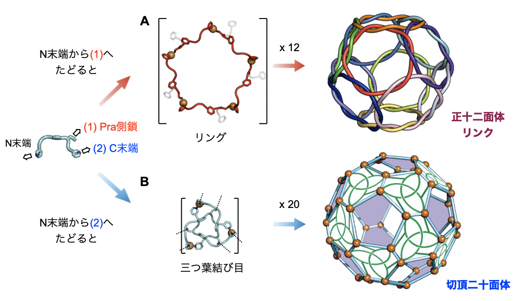 20250502-fujita-fig4.png