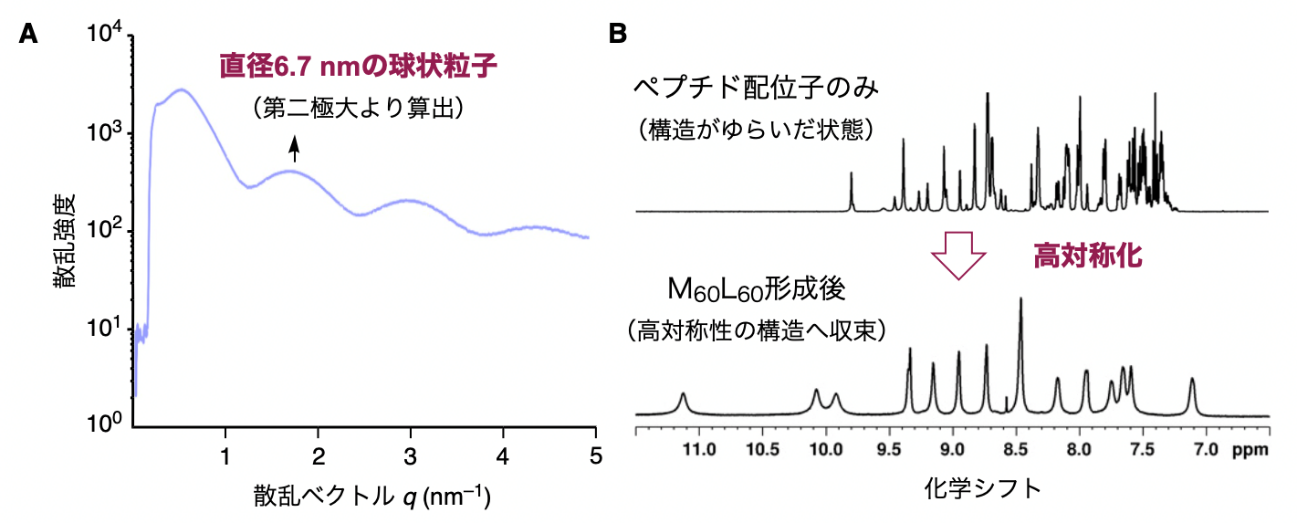 20250502-fujita-fig5.png