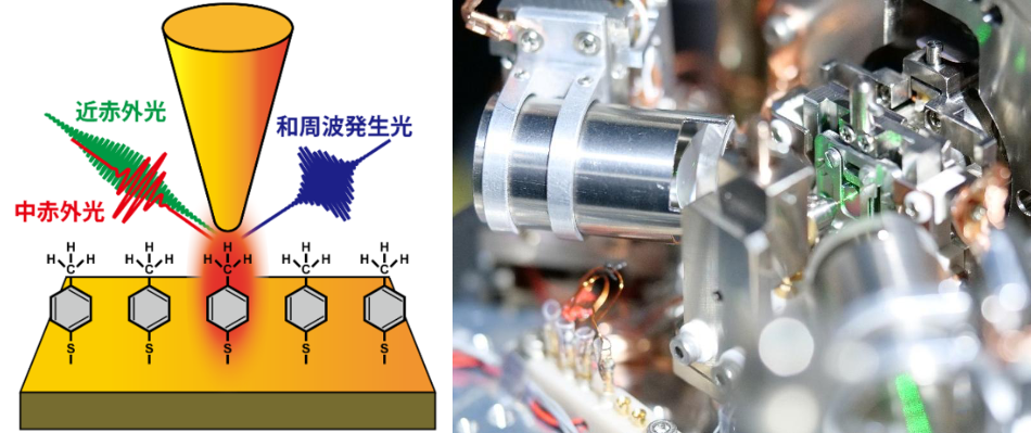 微小空間に閉じ込められた光を用いて少数分子から生じる和周波発生信号を検出～分子の向きも識別できる次世代のナノ計測技術～