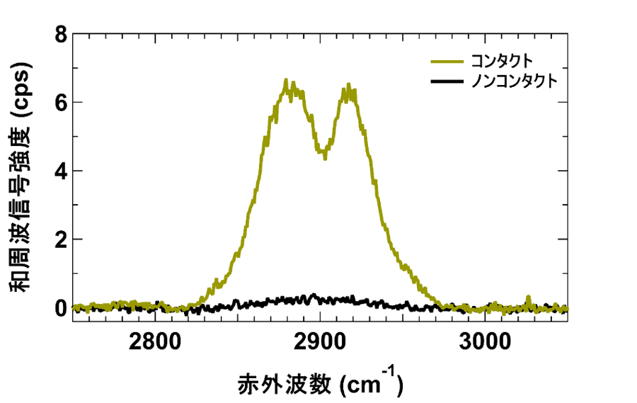 20250512-sakurai-fig2.png