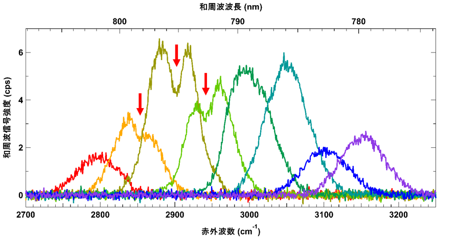 20250512-sakurai-fig3.png