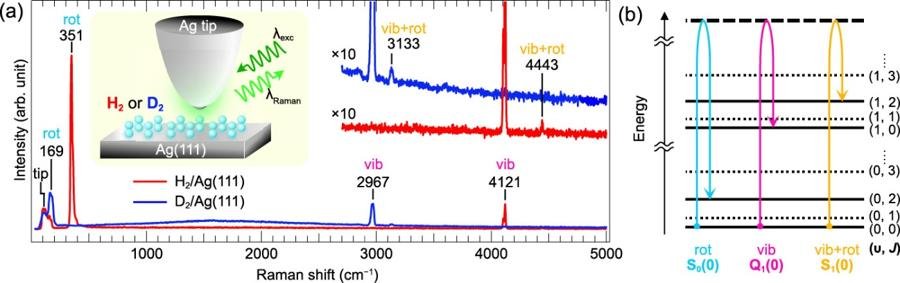 ピコキャビティに閉じ込めた水素の分光計測に世界で初めて成功～原子スケールの極微空間における軽分子の精密ラマン分光～