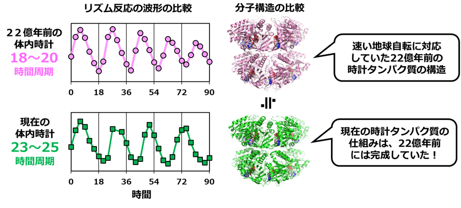 20250520-furuike-fig2.png