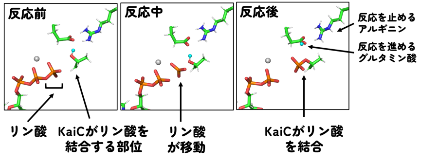20250613-furuike-fig2.png