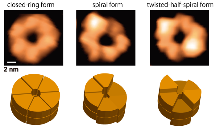 EurekAlertFigure 1_180531a.png