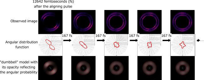 Fig2.jpg