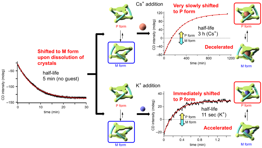 Researchers tune the speed of chirality switching | Institute for ...